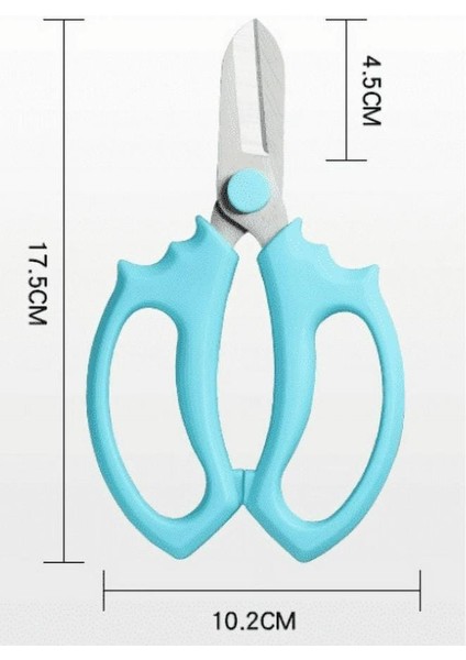 Bahçe Çiçek Makası, Keskin Paslanmaz Çelik Çiçek Makası, Budama Makası Çok Amaçlı Makas modelleri