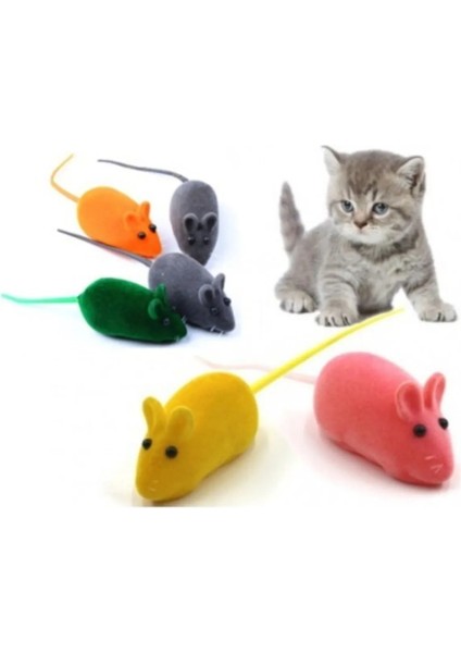 Kedi Eğitim Oyun Faresi 4 Adet fiyatları