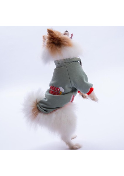 Yeşil Seattle Storm Good Energy Nakışlı Köpek Sweati Köpek Kıyafeti Kedi Kıyafeti