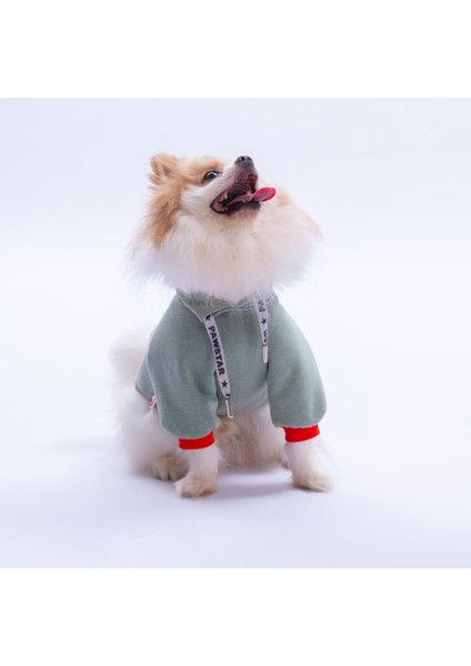 Yeşil Seattle Storm Good Energy Nakışlı Köpek Sweati Köpek Kıyafeti Kedi Kıyafeti fırsatları