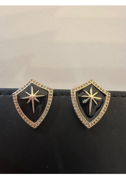 Kuzey Yıldızlı Rozet Küpe modelleri