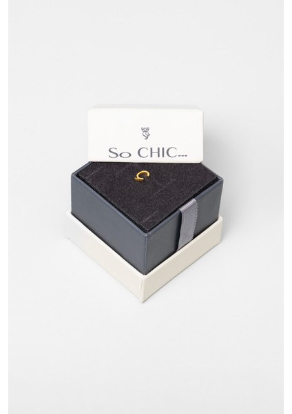 Ç Harfi 18 Ayar Sarı Altın Kaplama Gümüş Tek Küpe modelleri