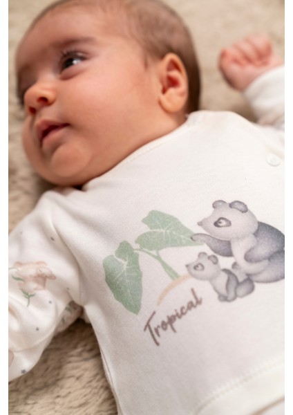%100 Organik Pamuk Tropical Koala Lux Bebek Tulum modelleri