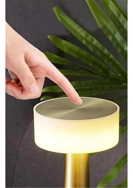 Şarjlı Masa Lambası Dimmerli Dekoratif Abajur Denver Dokunmatik Yemek Masası Lambası indirimleri