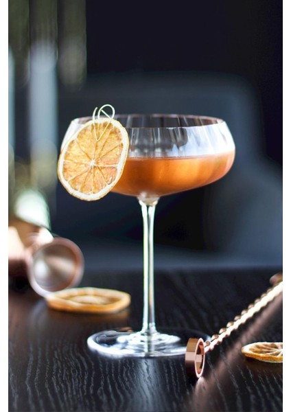 32010 Nude Round Up Martini Kadeh 6'lı 400CC modelleri