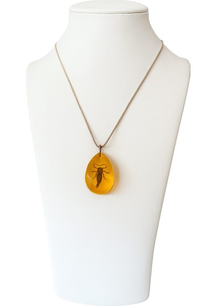 Akrep Fosilli Gümüş Zincirli Kolye