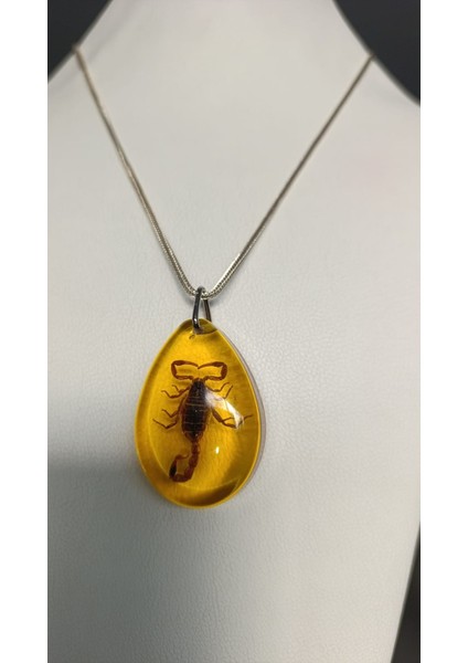 Akrep Fosilli Gümüş Zincirli Kolye fiyatları