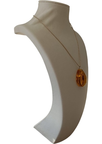 Akrep Fosilli Gümüş Zincirli Kolye modelleri