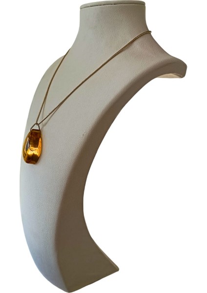 Akrep Fosilli Gümüş Zincirli Kolye fırsatları