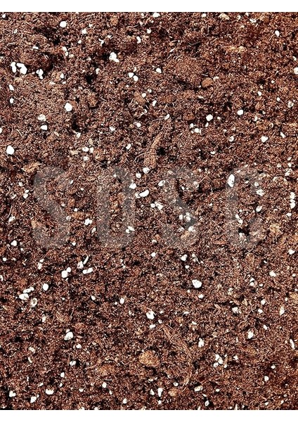 Mix Ithal Torf Cocopeat Perlit Özel Karışım Saksı Harcı Çiçek ve Bitki Toprağı 3 Lt fiyatları
