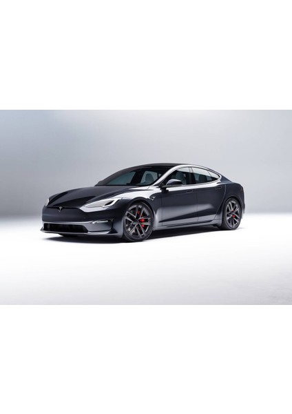 Tesla Diamond Black Metalik PX02 Uyumlu Oto Rötuş Boyası 25ML