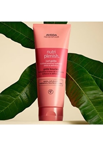 Nutriplenish Bukle Belirginleştirici Jel 200 ml Kıvırcık Saçlar İçin Besleyici ve Nemlendirici
