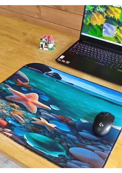 55X45 cm Çakıl Deniz Yıldızı Kaydırmaz Taban Speed Yüzey Oyuncu Mouse Pad Gaming Pad fiyatları