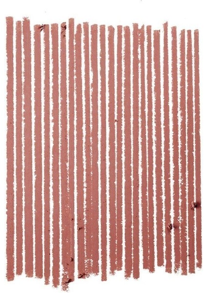 Boldly Bare / Kirli Kırmızı Kahve Dudak Kalemi fiyatları