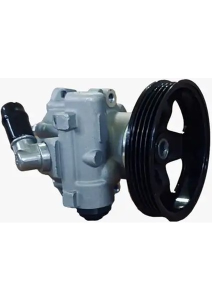 3301081 Direksiyon Pompasi 4007P6