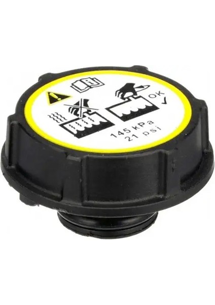 RC240 Yedek Su Depo Kapagi 1224233 1301104 30680002