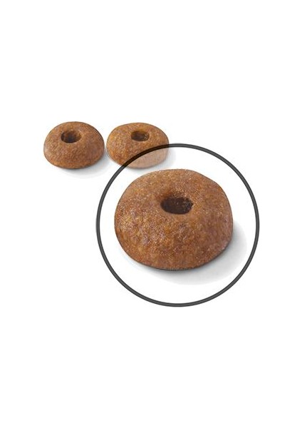 Lightweight Kuru Kedi Maması 1.5kg