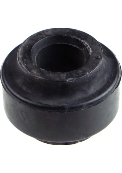 R53360 Viraj Lastigi On A1403231985