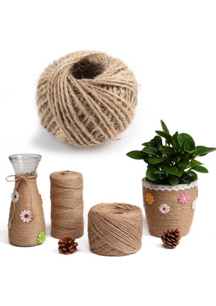 100 gr Jüt İplik 10'lu