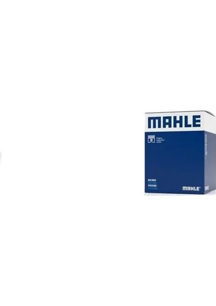 0309700 Piston+Segman Olcu: Std 070107065AK 070107103AK fiyatları