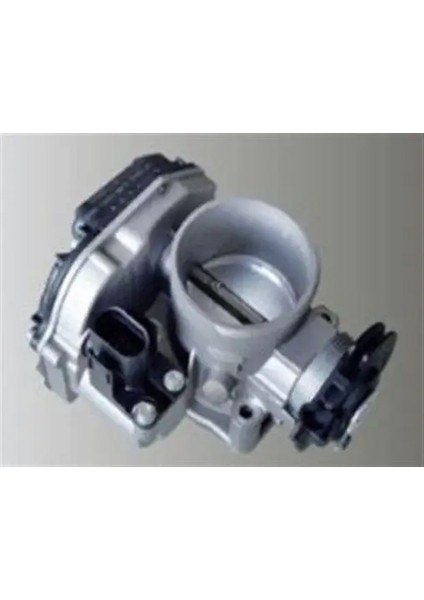 359000602850 Gaz Kelebegi 06A133063G