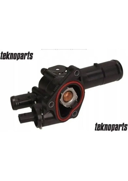 RNTRM001 Termostat 1106000Q0K 110605536R