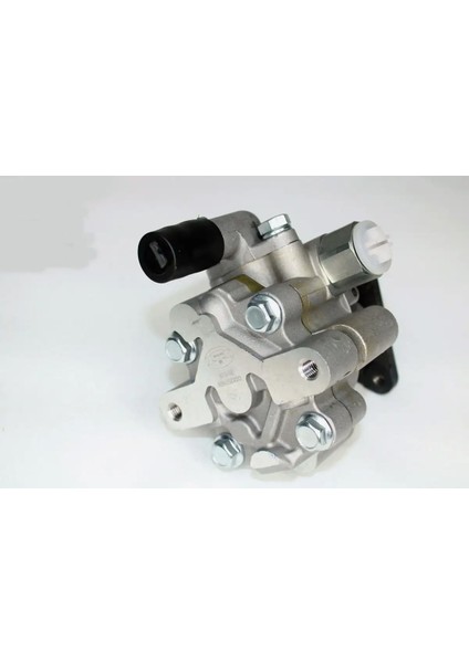 RNDP004 Direksiyon Pompasi 491100100R 8200763524