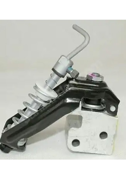 TMP0539 Fren Limitoru 46789637 46801308