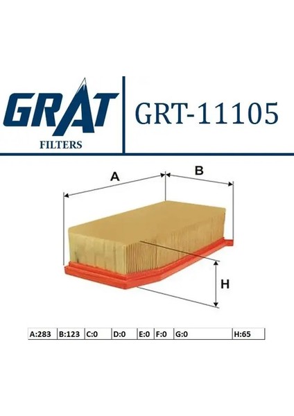 11105 Hava Filtresi 165467674R