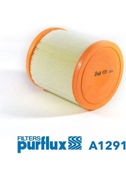 A1291 Hava Filtresi 4F0133843A FA3319 GAF221