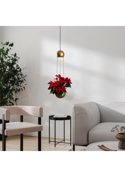 Verde Tekli Saksı Sarkıt Avize Parlak Gold, Modern Dekoratif Çiçeklik Tavan Aydınlatma VERDE-15422