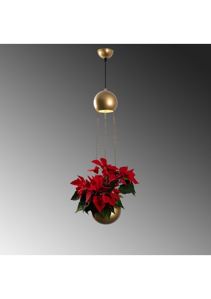 Verde Tekli Saksı Sarkıt Avize Parlak Gold, Modern Dekoratif Çiçeklik Tavan Aydınlatma VERDE-15422