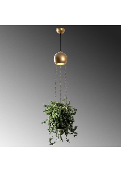 Verde Tekli Saksı Sarkıt Avize Parlak Gold, Modern Dekoratif Çiçeklik Tavan Aydınlatma VERDE-15422