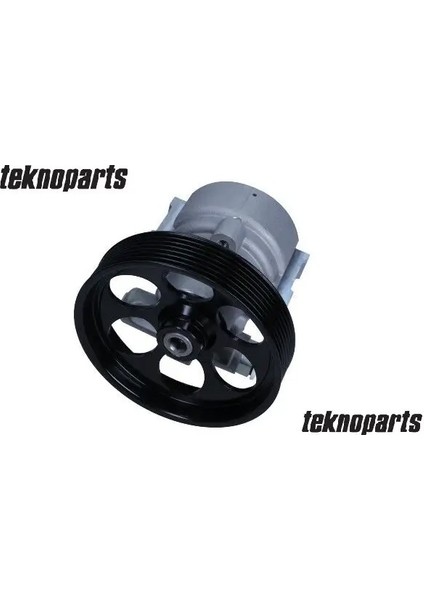 RNDP005 Direksiyon Pompasi 491109998R