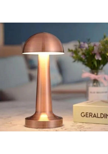 Mantar Model Bronz Renk Şarjlı Dokunmatik 3 Renkli LED Masa Lambası (5148) fırsatları
