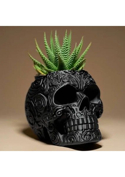 Kuru Kafa Modeli Dekoratif Saksı