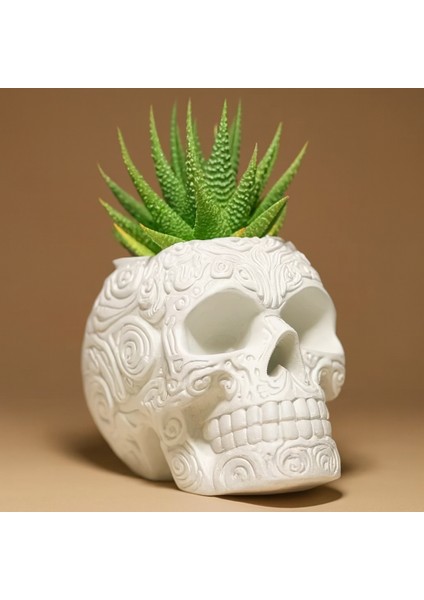 Kuru Kafa Modeli Dekoratif Saksı fiyatları