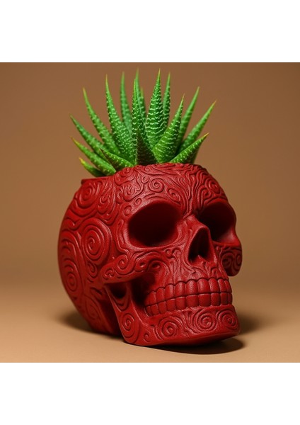 Kuru Kafa Modeli Dekoratif Saksı modelleri