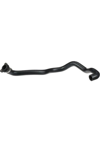 R19551 Termostat Hortumu 11537544638