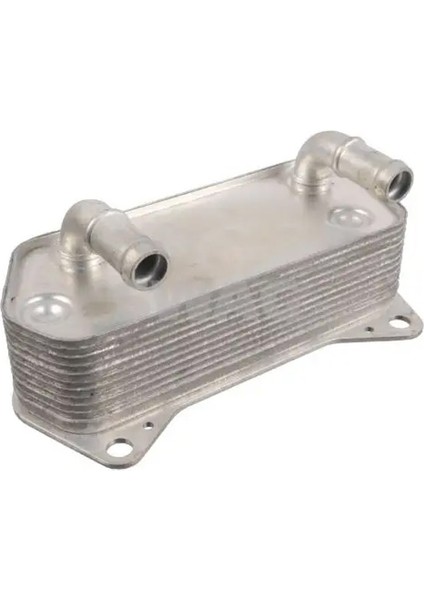 30938787 Sanziman Yag Sogutucusu 02E409061B