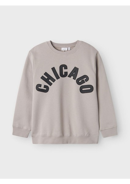 Erkek Çocuk Sweatshirt