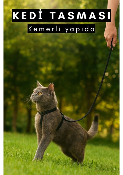 Kedi Tasması Ayarlanabilir Kolay Takılabilir Yapıda Casapetra