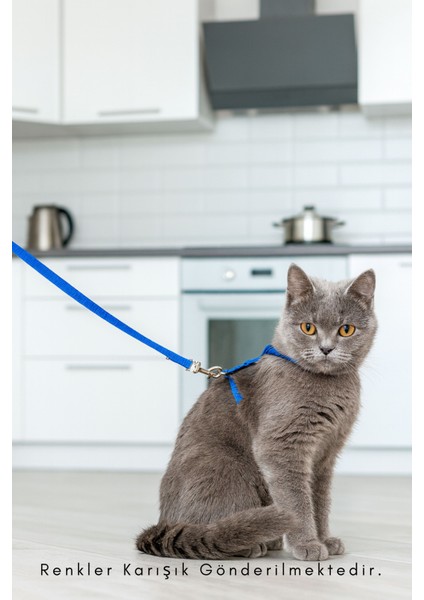 Kedi Tasması Ayarlanabilir Kolay Takılabilir Yapıda Casapetra fiyatları