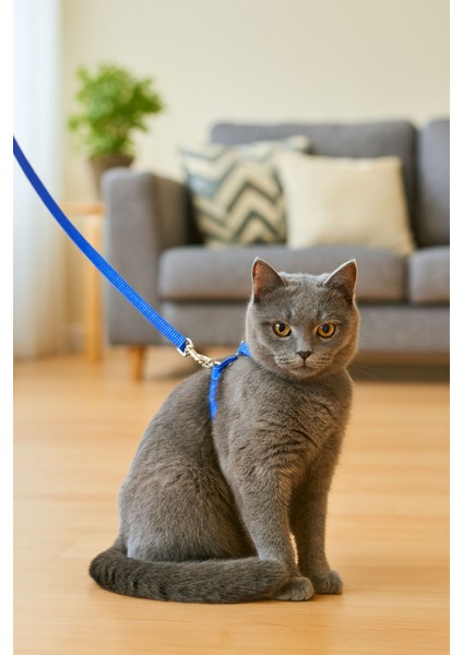 Kedi Tasması Ayarlanabilir Kolay Takılabilir Yapıda Casapetra modelleri