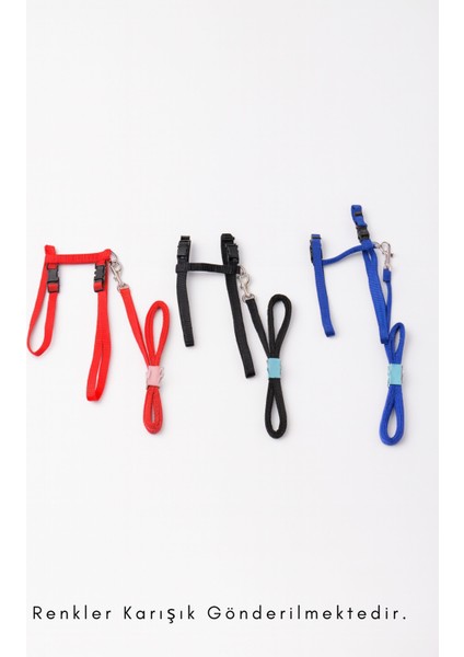 Kedi Tasması Ayarlanabilir Kolay Takılabilir Yapıda Casapetra fırsatları