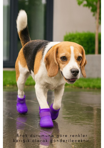 Slikon Evcil Hayvan Ayakkabısı Kedi Ayakkabısı (S Beden) Casapetra modelleri