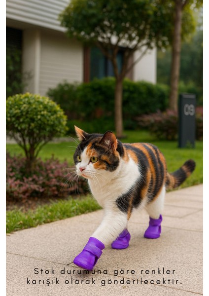 Slikon Evcil Hayvan Ayakkabısı Kedi Ayakkabısı (S Beden) Casapetra fırsatları