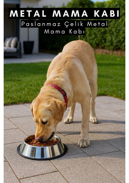 Metal Mama Kabı Paslanmaz Çelik Casapetra