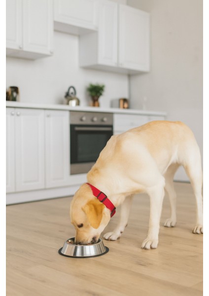 Metal Mama Kabı Paslanmaz Çelik Casapetra modelleri