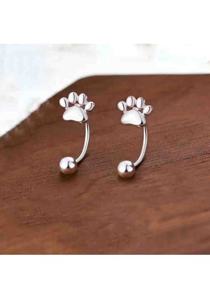 Gümüş Kedi Patisi Küpeler fiyatları